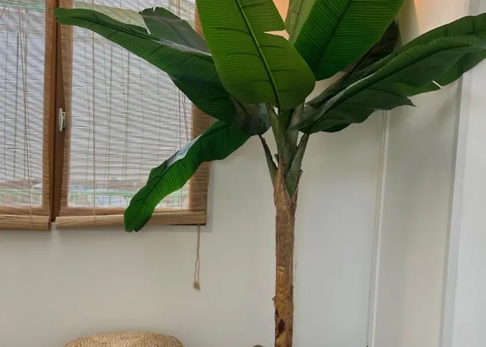 Le Bali By Perpignan